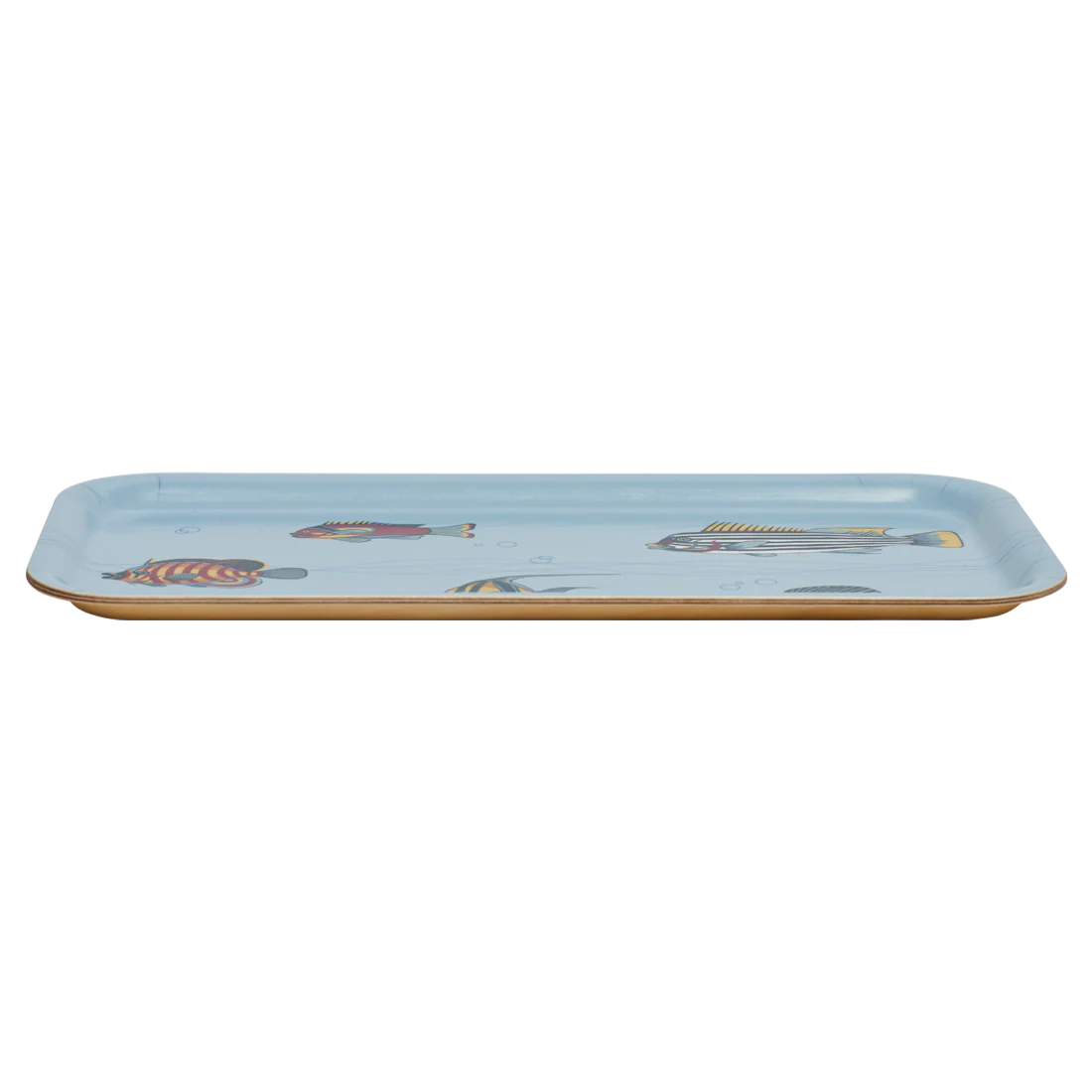 MUSEUM FISH TRAY (10.6"x5.1") - Image 3